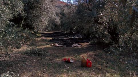 Finca rústica en venda a Pozo Alcón, Jaén - imatge 3 Foto 3 de Finca rústica en venda a Pozo Alcón, Jaén