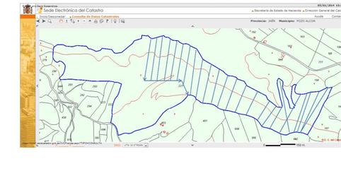 Finca rústica en venda a Pozo Alcón, Jaén - imatge 4 Foto 4 de Finca rústica en venda a Pozo Alcón, Jaén