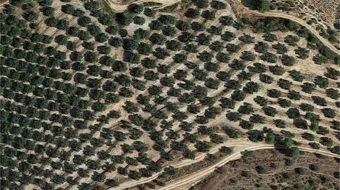 Finca rústica en venda a Pozo Alcón, Jaén - imatge 2 Foto 2 de Finca rústica en venda a Pozo Alcón, Jaén