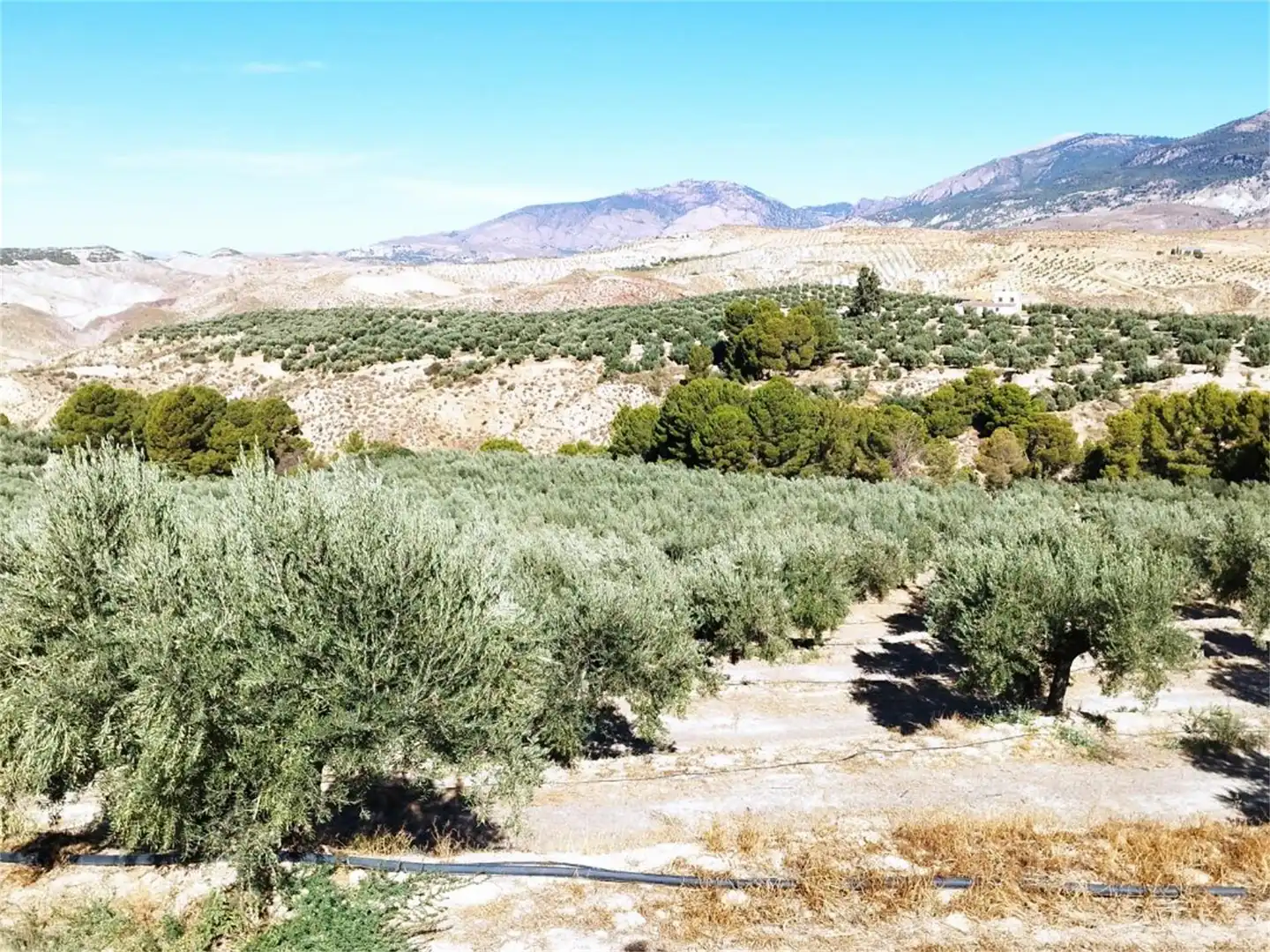 Country homes for sale in Pozo Alcón Country homes for sale in Pozo Alcón