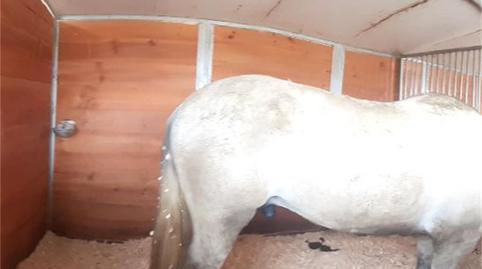 Foto 4 de Finca rústica en venda a Lugar Marchenilla, 11, Jimena de la Frontera, Cádiz