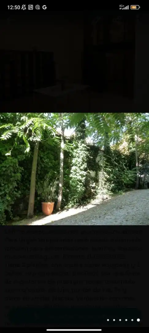Jardín de Local de alquiler en Madrid con Calefacción