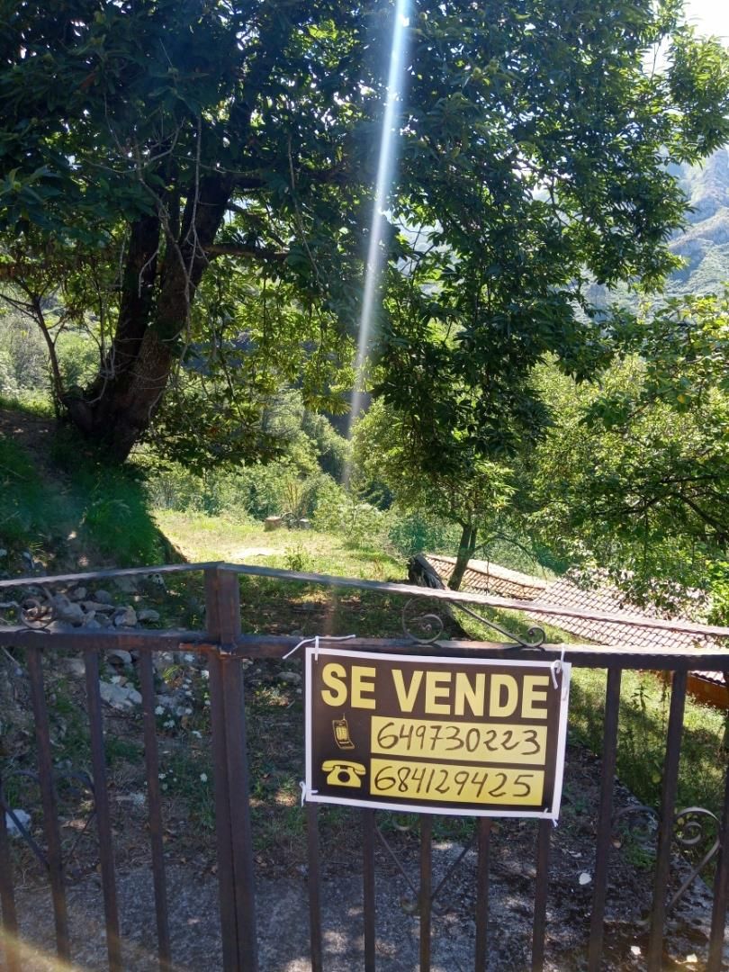 Land for sale in Bimenes