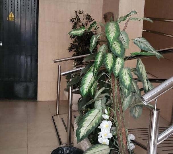 Foto 1 de Pis de lloguer a Plaza Pío XII, Carolinas Bajas, Alicante