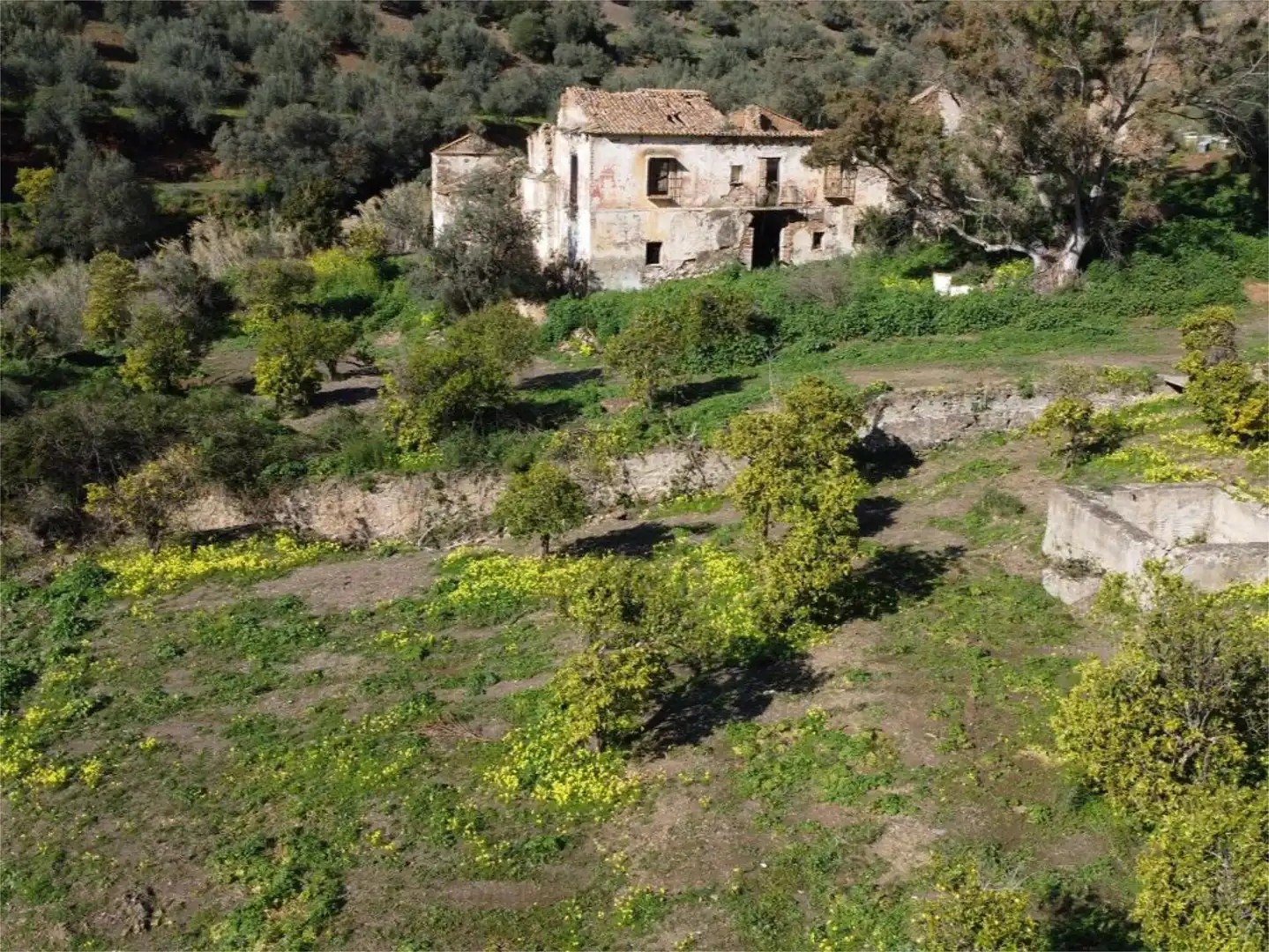 Jardín de Piso en venta en Málaga
