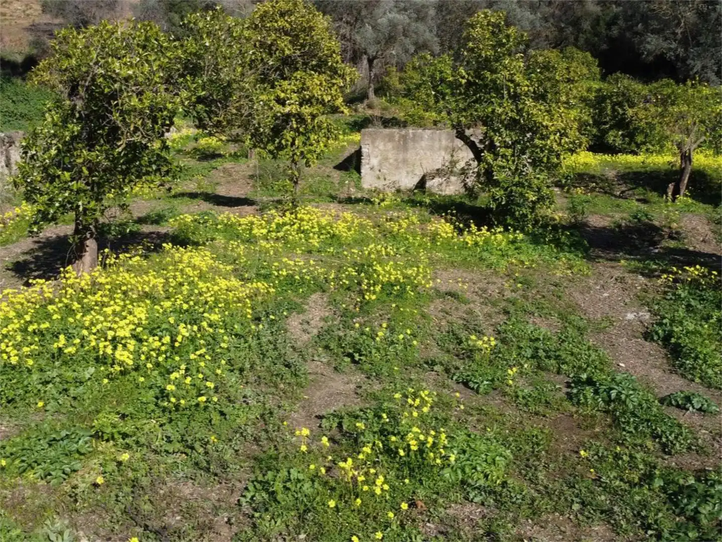 Piso en venta en Málaga