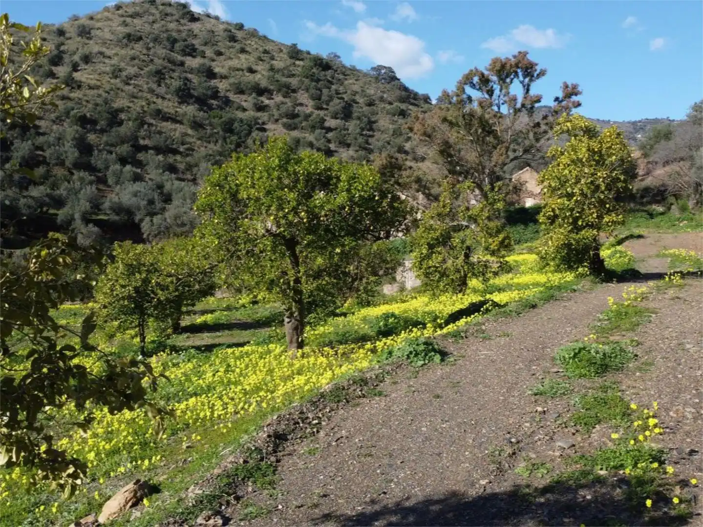 Vista exterior de Piso en venta en Málaga