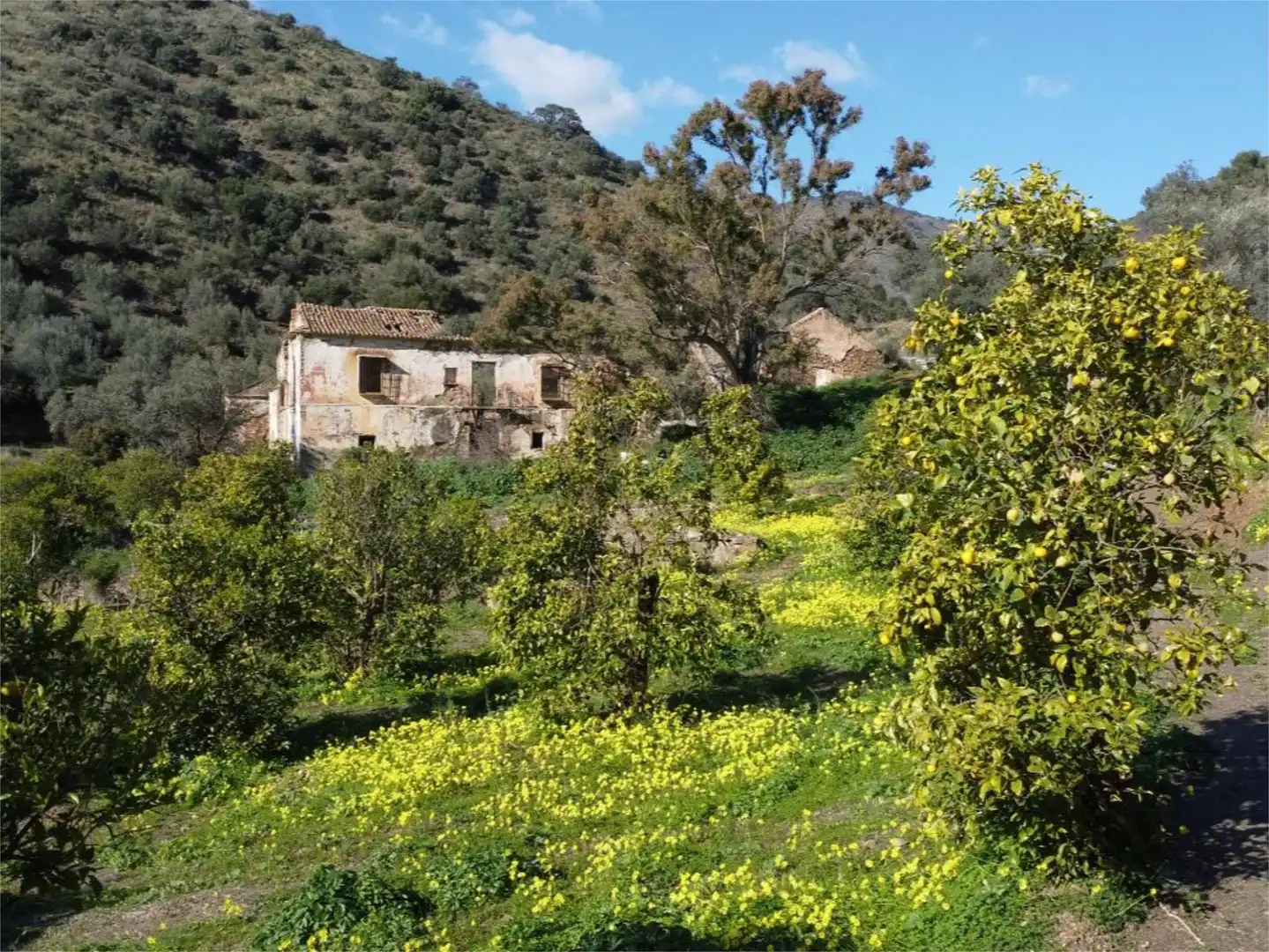 Jardín de Piso en venta en Málaga