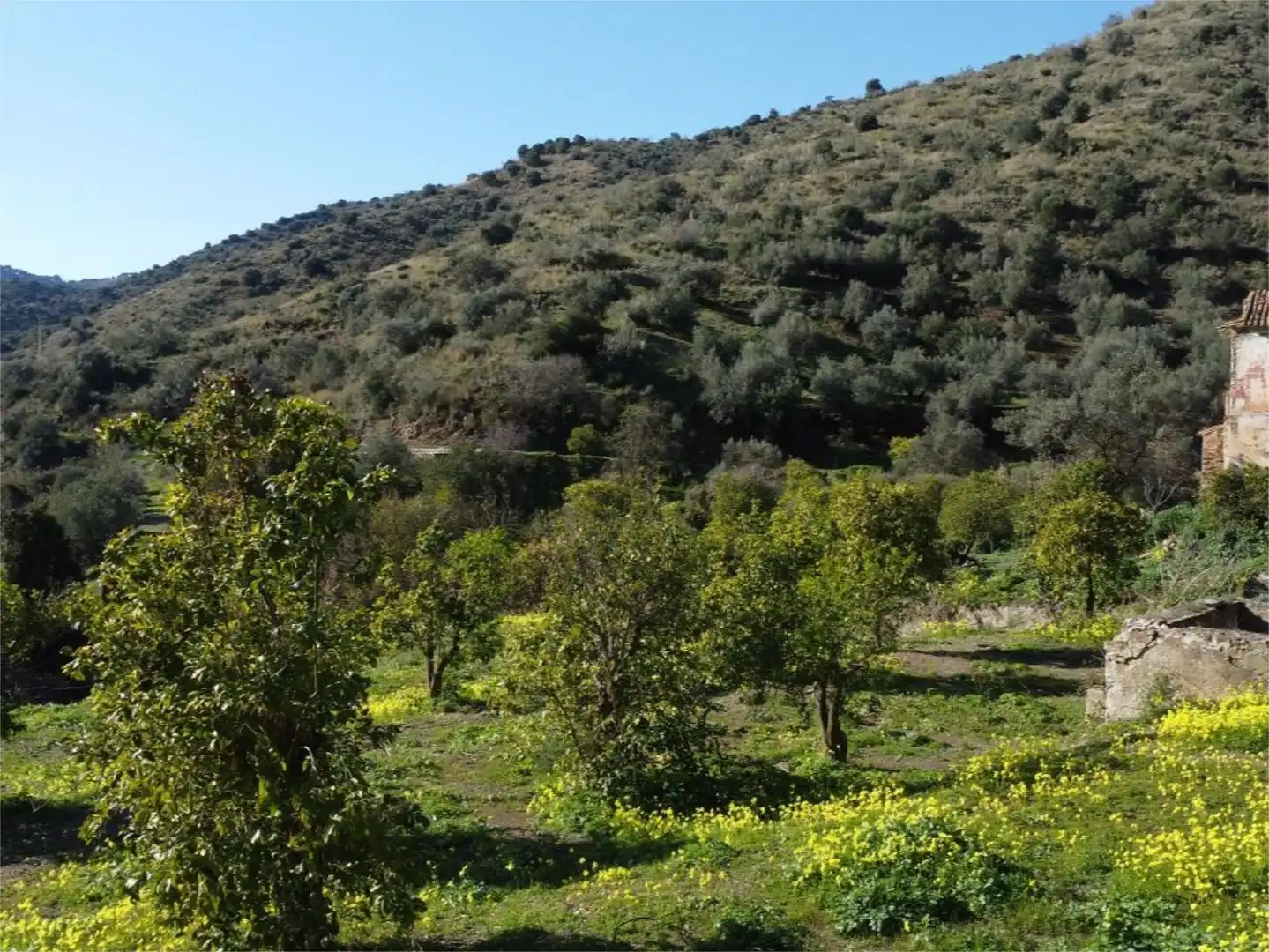 Jardín de Piso en venta en Málaga