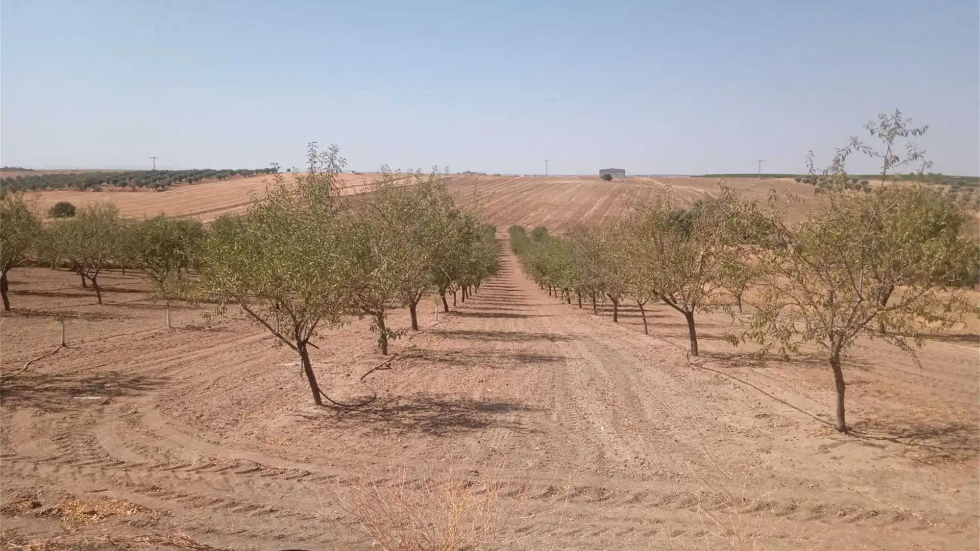 Terreno en venta en Novés