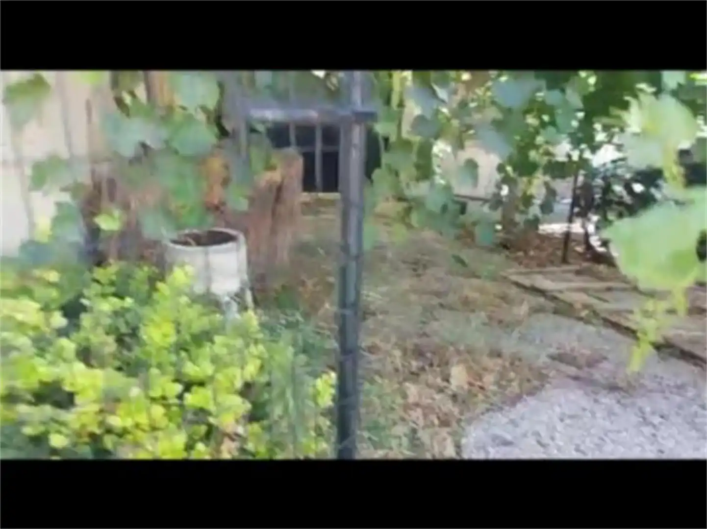 Finca rústica en venta en Fortuna con Aire acondicionado