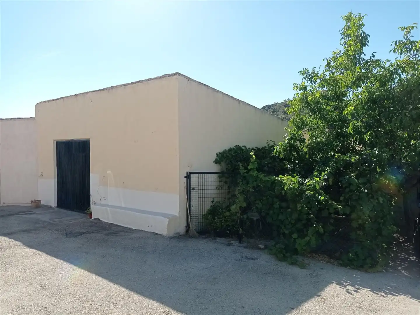 Vista exterior de Finca rústica en venta en Fortuna con Aire acondicionado