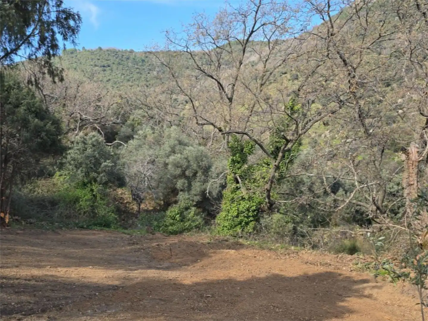 Finca rústica en venda a Calle de los Molinos, Hinojosa de San Vicente Finca rústica en venda en Hinojosa de San Vicente