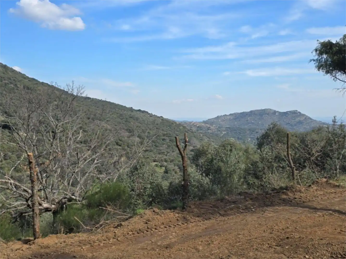 Finca rústica en venda a Calle de los Molinos, Hinojosa de San Vicente Finca rústica en venda en Hinojosa de San Vicente
