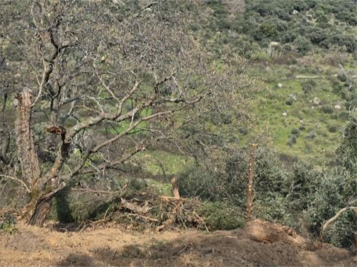 Finca rústica en venda a Calle de los Molinos, Hinojosa de San Vicente Finca rústica en venda en Hinojosa de San Vicente