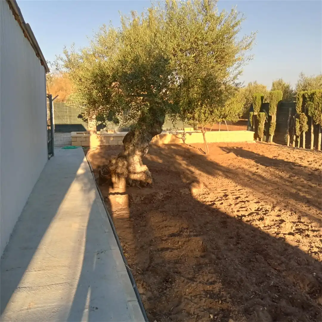Garden of Country homes for sale in Utrera  with Air Conditioner