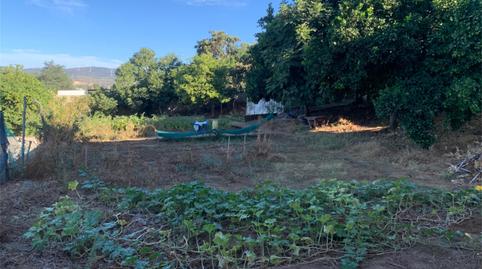 Photo 4 of Land for sale in Avenida de Guadarranque, Taraguilla- Estación, Cádiz