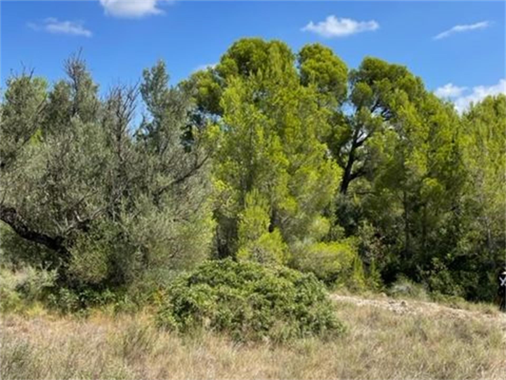 Country house for sale in Roquetes
