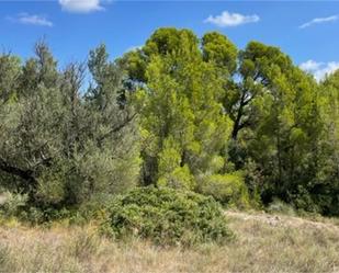 Finca rústica en venda en Roquetes