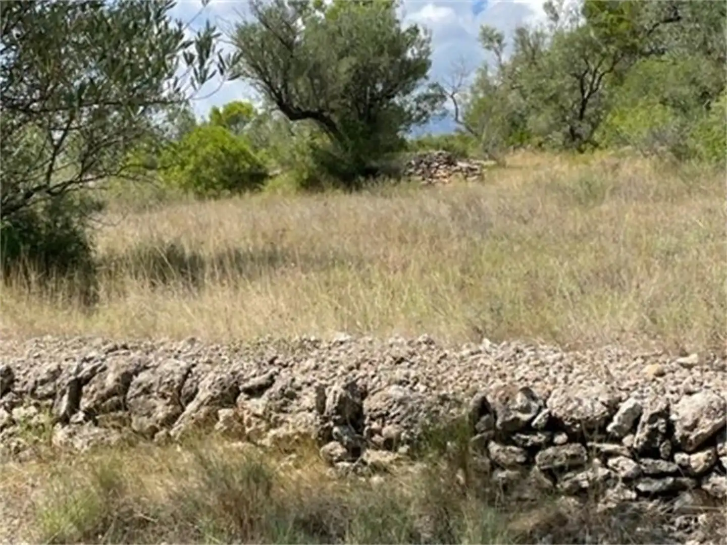 Finca rústica en venda a Carrer Zona Pilans C, ., Roquetes Finca rústica en venda en Roquetes