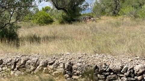 Finca rústica en venda a Carrer Zona Pilans C, ., Roquetes, Tarragona - imatge 2 Foto 2 de Finca rústica en venda a Carrer Zona Pilans C, ., Roquetes, Tarragona