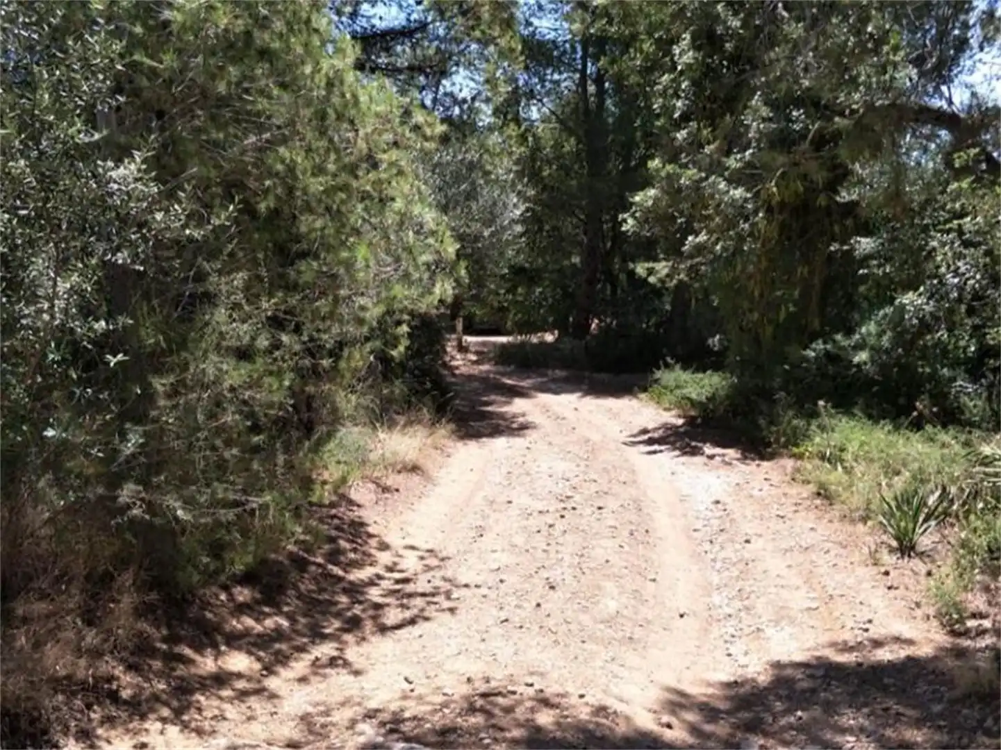 Finca rústica en venda a Carrer Zona Pilans C, ., Roquetes Vista exterior de Finca rústica en venda en Roquetes