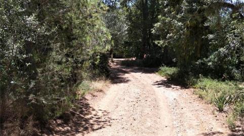 Finca rústica en venda a Carrer Zona Pilans C, ., Roquetes, Tarragona - imatge 3 Foto 3 de Finca rústica en venda a Carrer Zona Pilans C, ., Roquetes, Tarragona