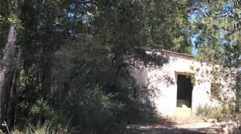 Finca rústica en venda a Carrer Zona Pilans C, ., Roquetes, Tarragona - imatge 4 Foto 4 de Finca rústica en venda a Carrer Zona Pilans C, ., Roquetes, Tarragona