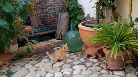 Foto 5 de Pis per a compartir a Calle Cantarerías, Albalate del Arzobispo, Teruel