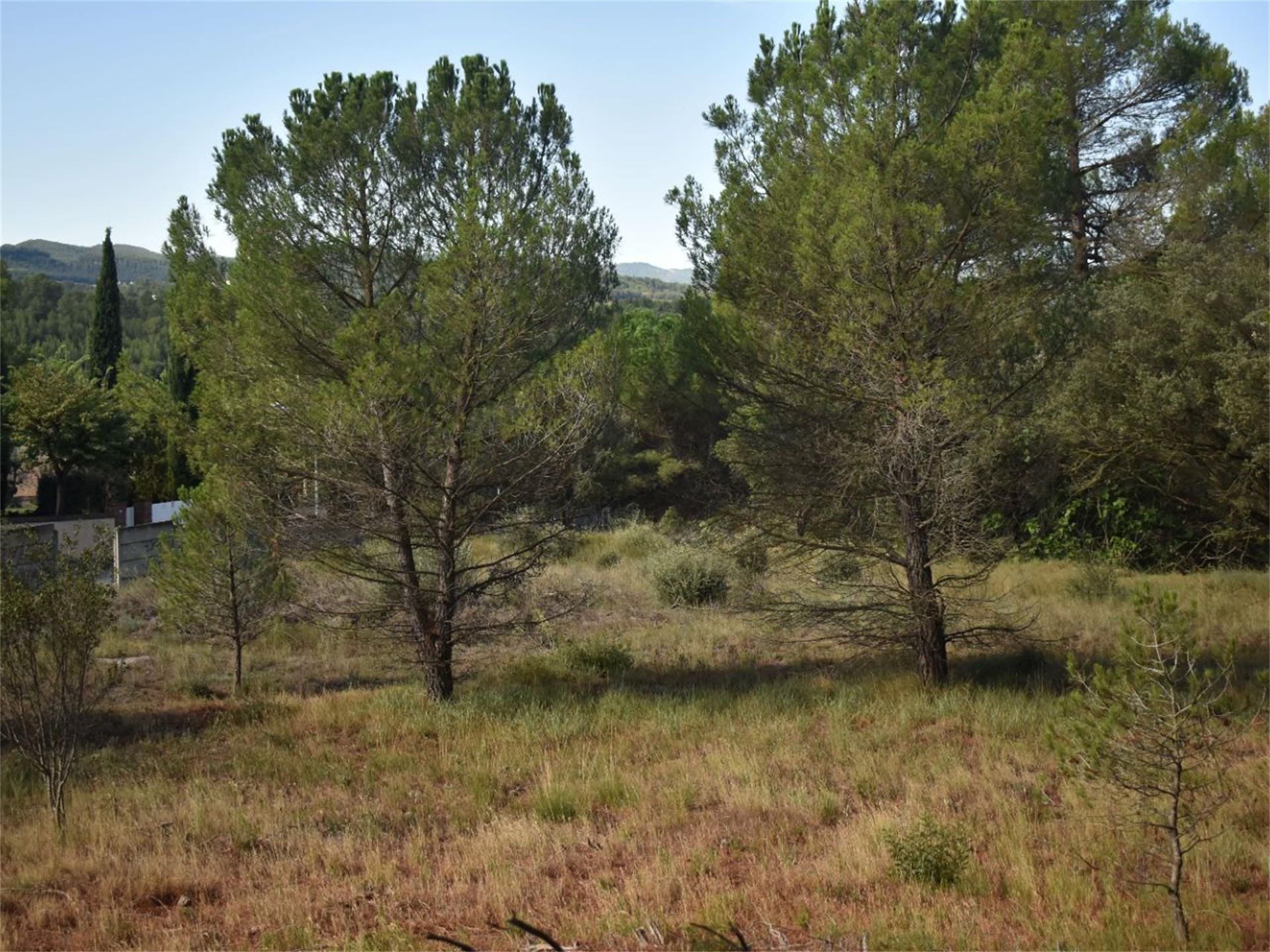 Land for sale in Igualada