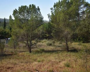 Land for sale in Igualada