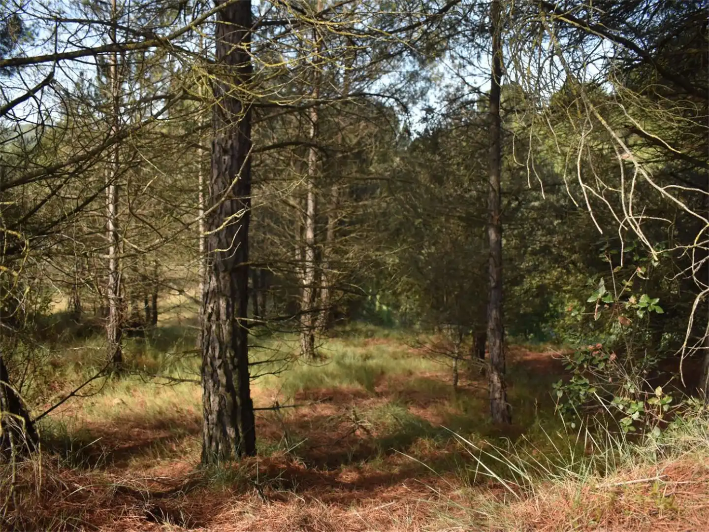 Land for sale in Carrer del Baix Llobregat, 7, Centre Land for sale in Igualada