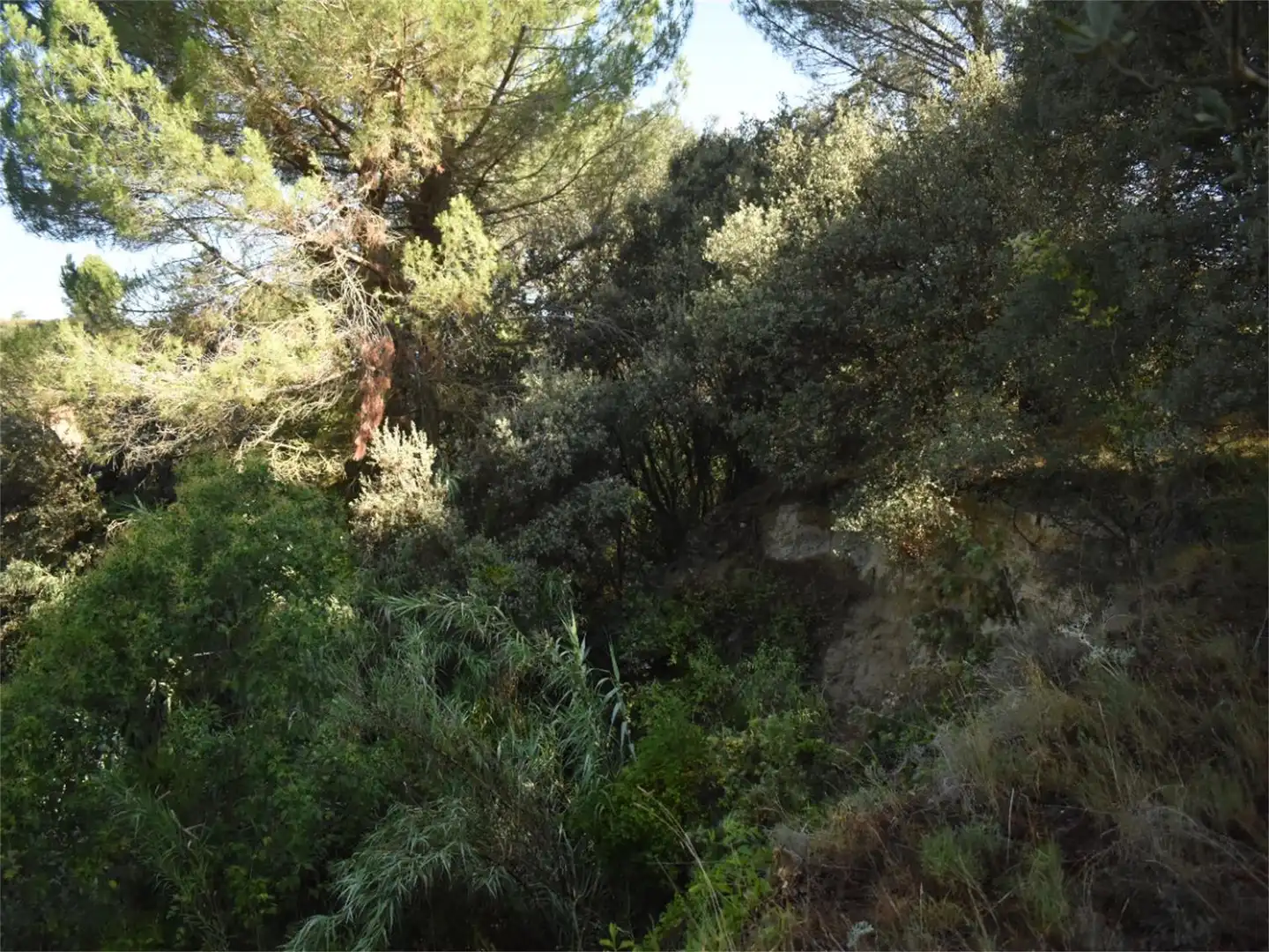 Land for sale in Carrer del Baix Llobregat, 7, Centre Land for sale in Igualada