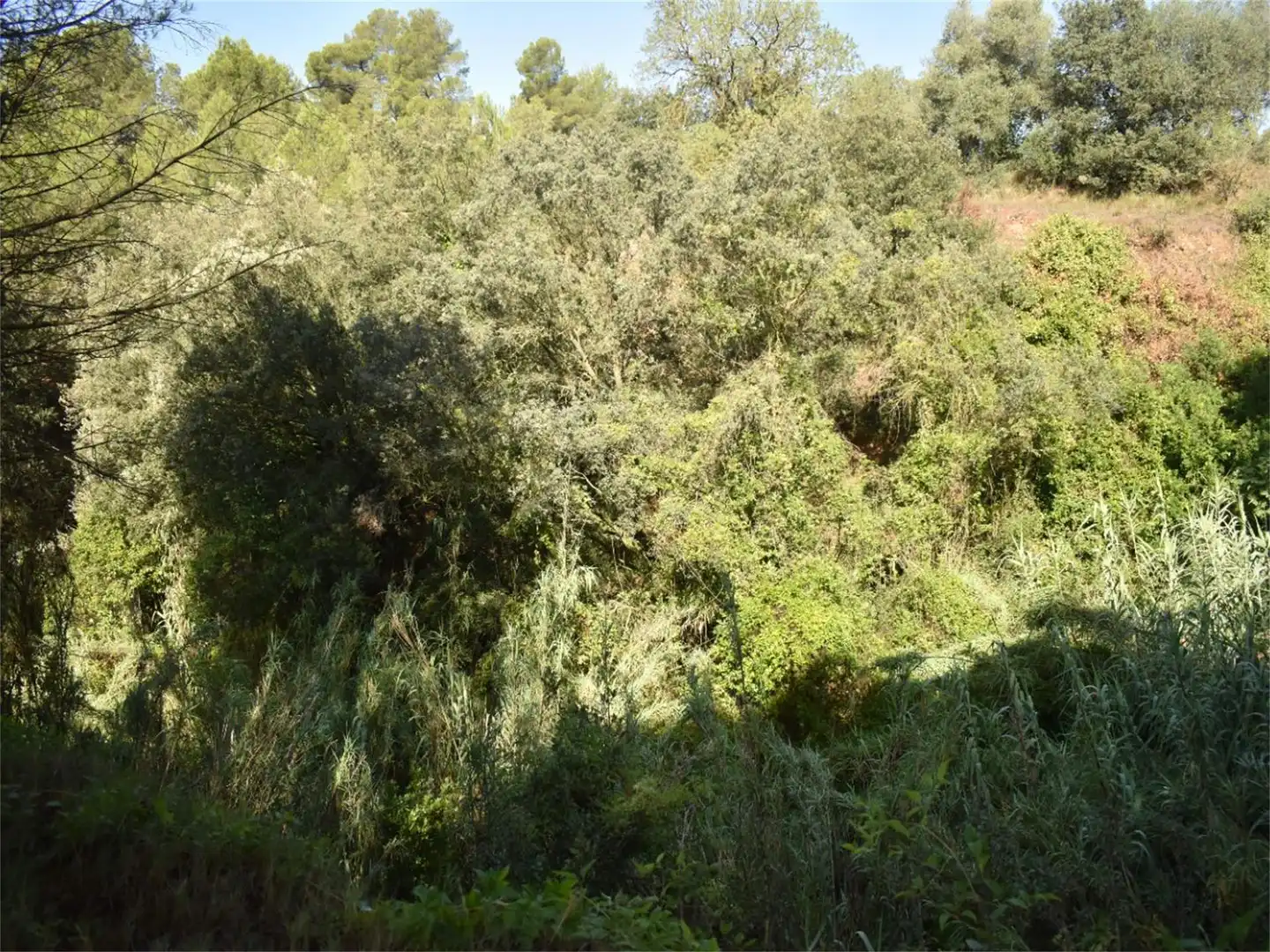Land for sale in Carrer del Baix Llobregat, 7, Centre Land for sale in Igualada
