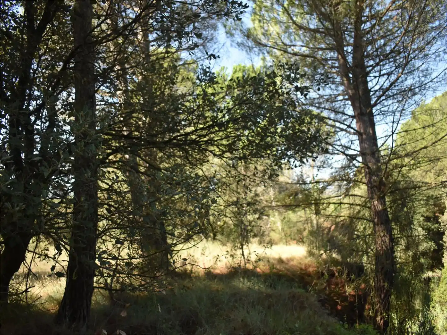 Land for sale in Carrer del Baix Llobregat, 7, Centre Land for sale in Igualada