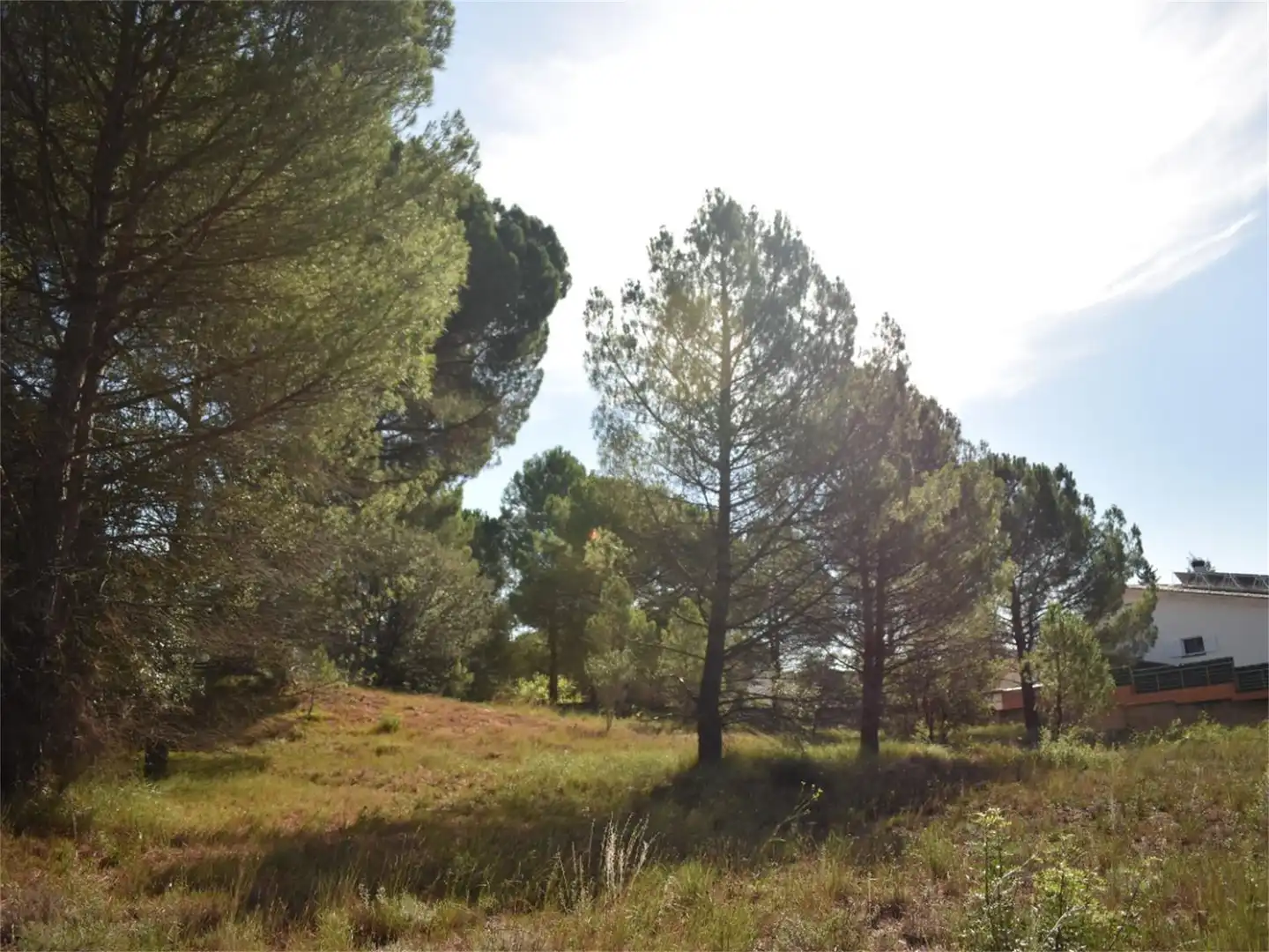 Land for sale in Carrer del Baix Llobregat, 7, Centre Land for sale in Igualada