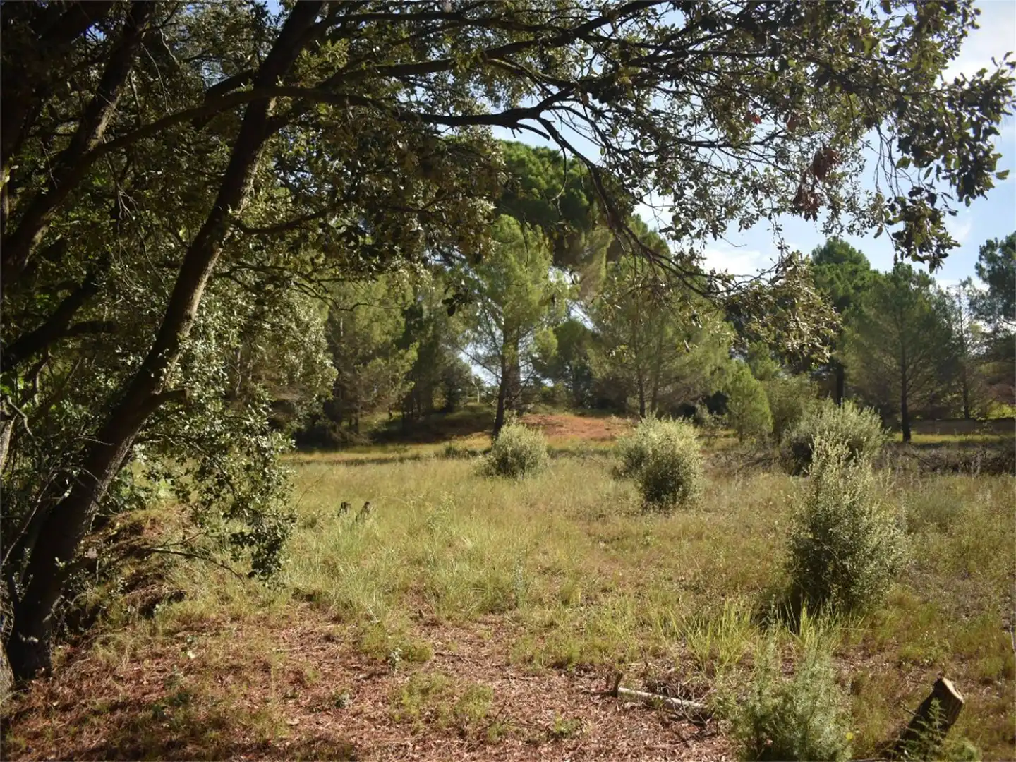 Land for sale in Carrer del Baix Llobregat, 7, Centre Land for sale in Igualada
