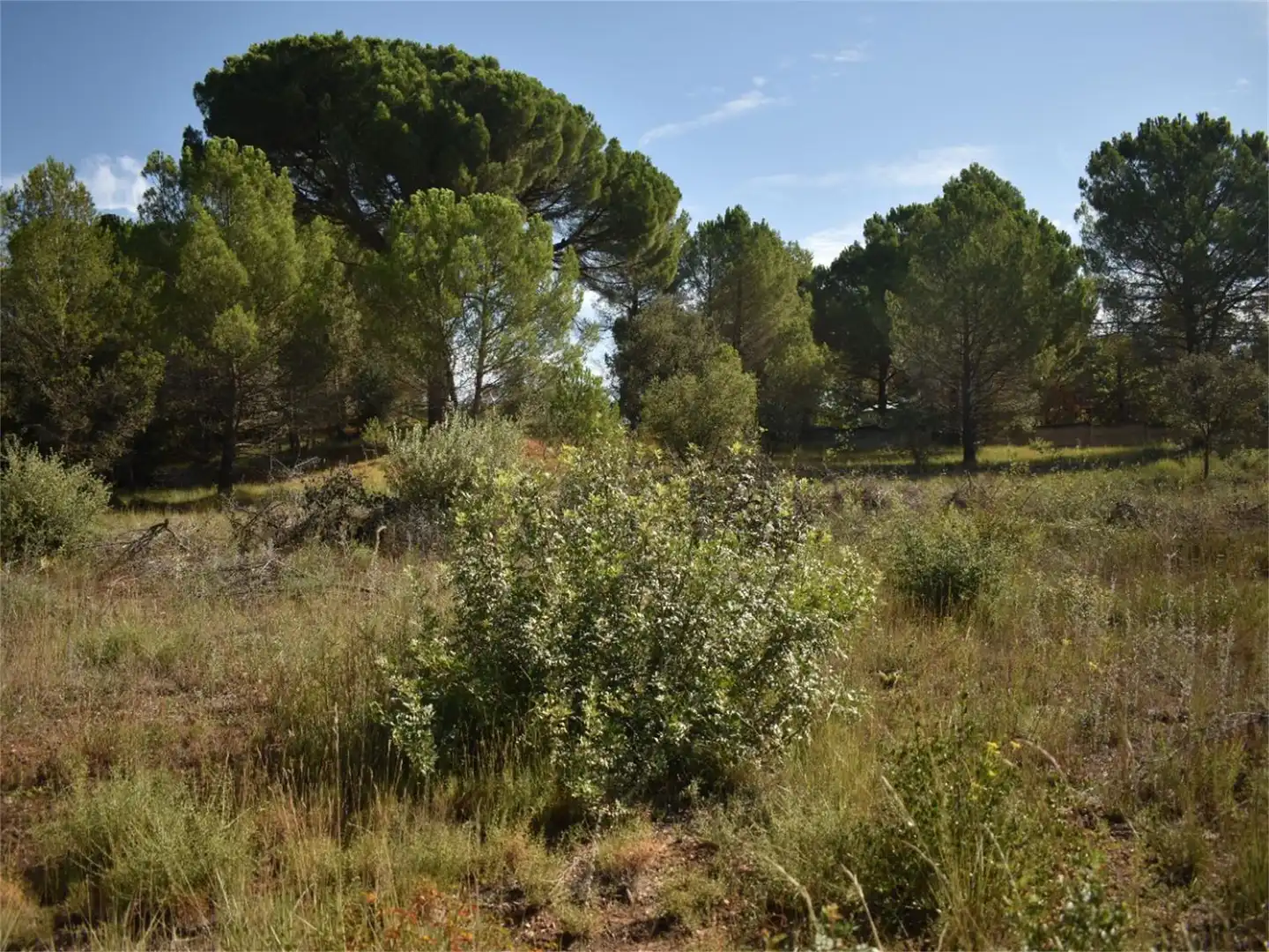 Land for sale in Carrer del Baix Llobregat, 7, Centre Land for sale in Igualada