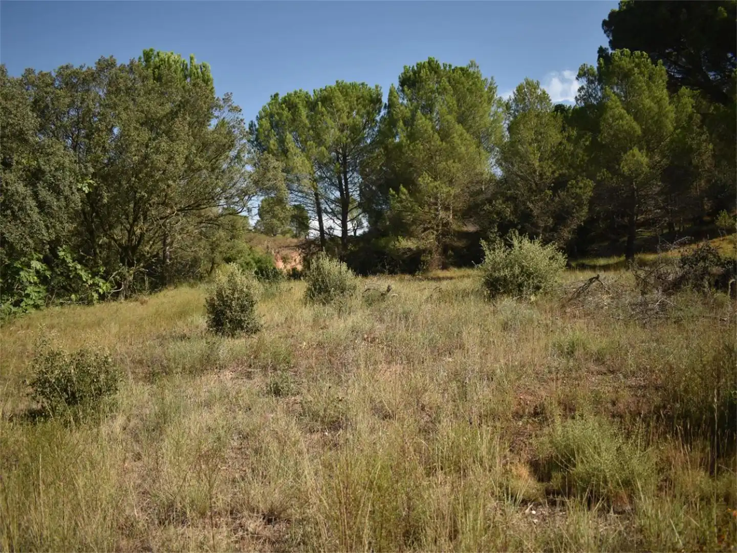 Land for sale in Carrer del Baix Llobregat, 7, Centre Land for sale in Igualada