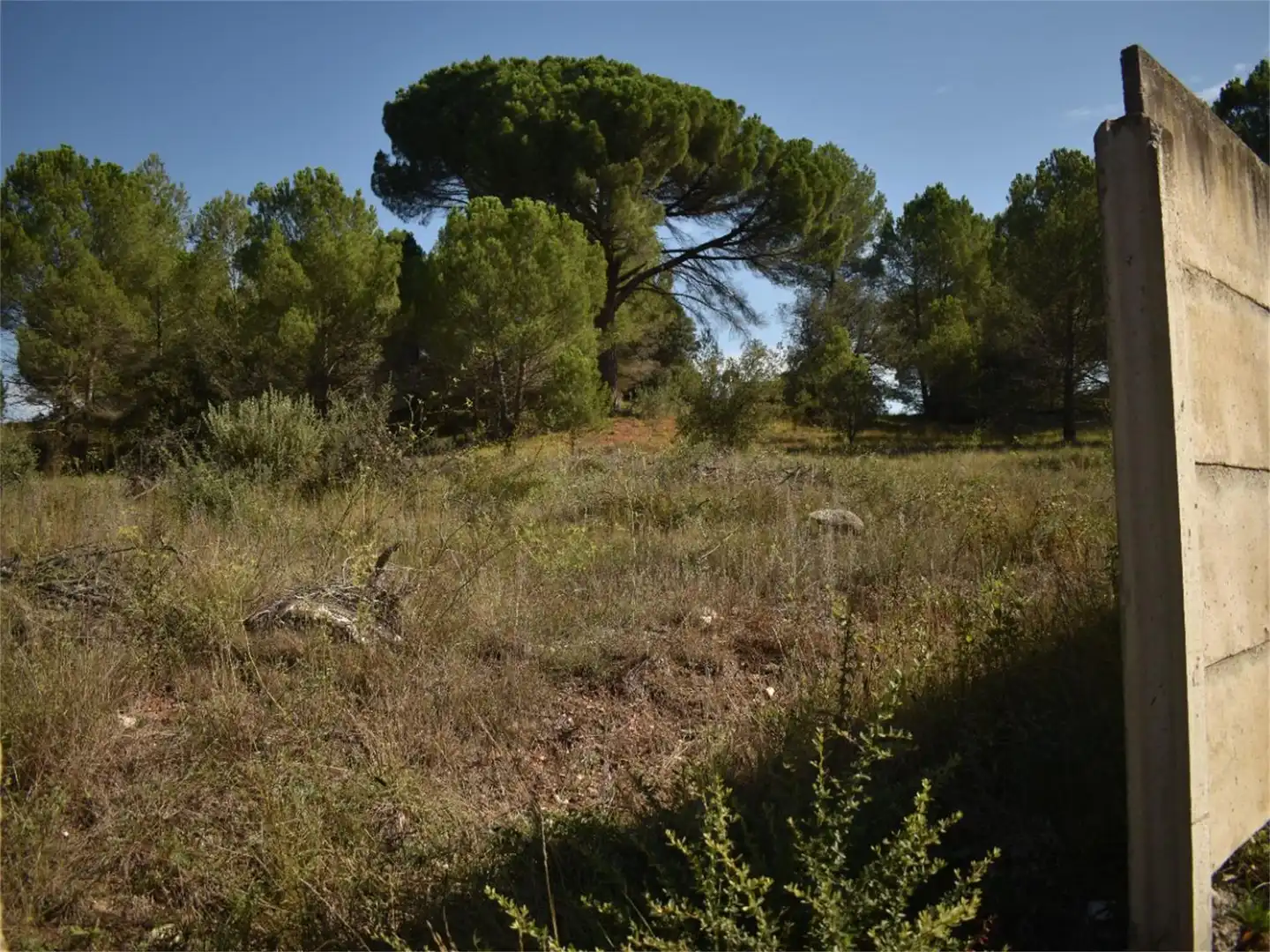 Land for sale in Carrer del Baix Llobregat, 7, Centre Land for sale in Igualada