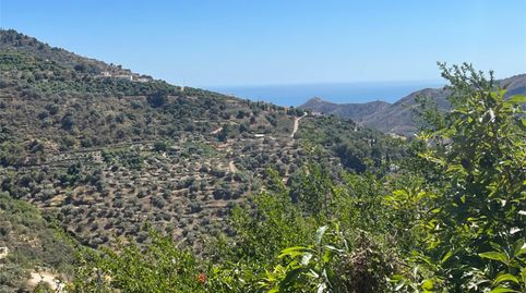 Foto 5 de Finca rústica en venda a A-7207, Torrox Pueblo, Torrox