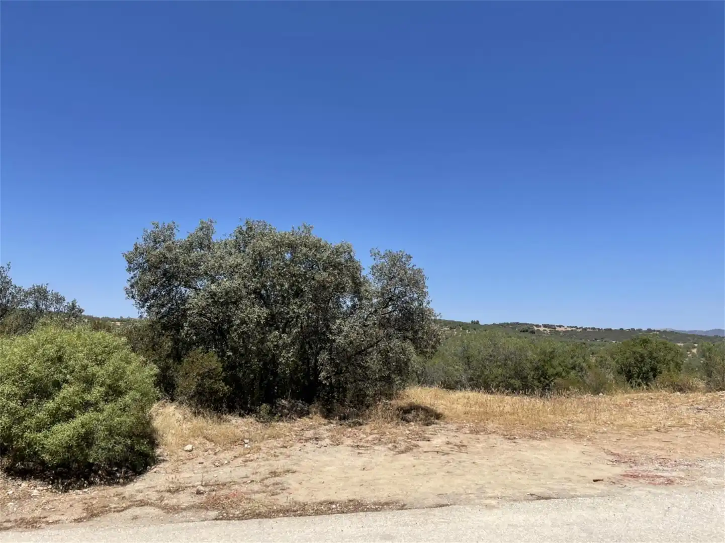 Finca rústica en venda en Guarromán