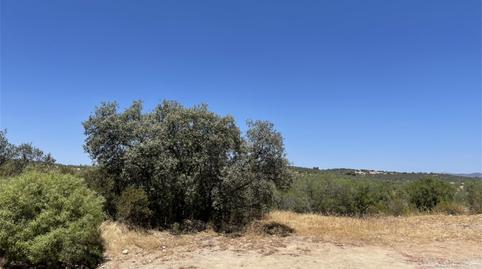 Foto 2 de Finca rústica en venta en Calle Zocueca, 5, Guarromán, Jaén