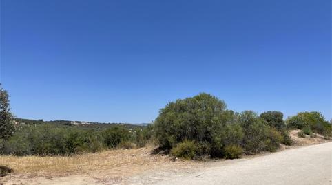 Foto 3 de Finca rústica en venta en Calle Zocueca, 5, Guarromán, Jaén