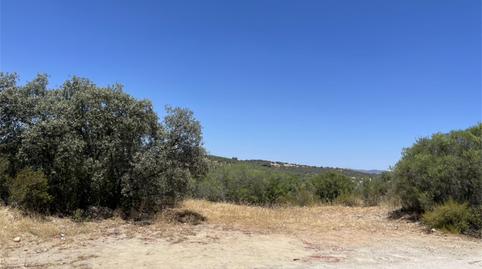 Foto 4 de Finca rústica en venta en Calle Zocueca, 5, Guarromán, Jaén