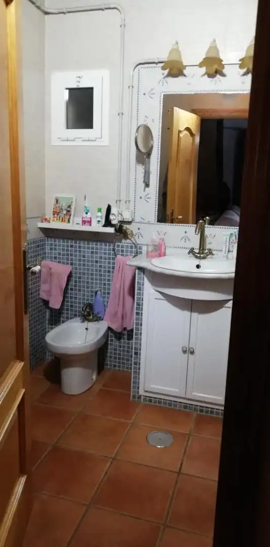 Baño de Finca rústica en venta en Villanueva del Río y Minas con Aire acondicionado, Terraza y Piscina