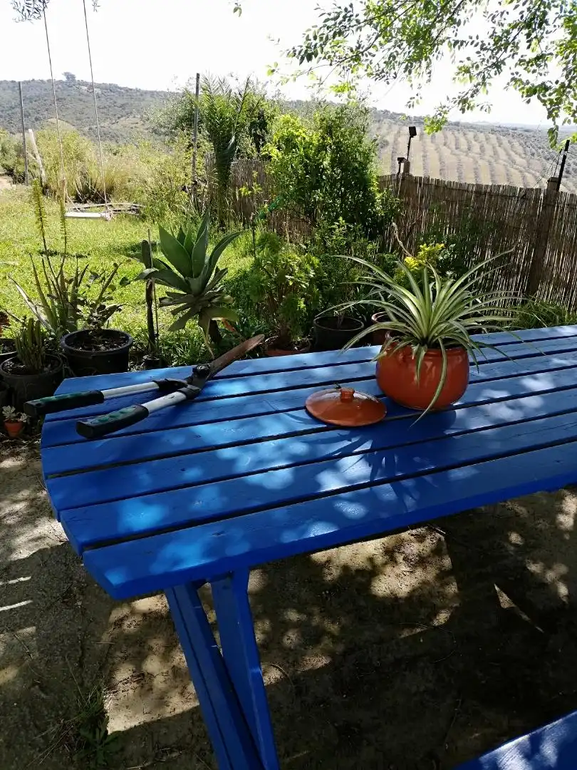 Jardín de Finca rústica en venta en Villanueva del Río y Minas con Aire acondicionado, Terraza y Piscina