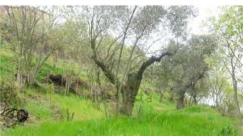 Casa o xalet en venda a Avenida José María Fancillas, Olvena, Huesca - imatge 4 Foto 4 de Casa o xalet en venda a Avenida José María Fancillas, Olvena, Huesca