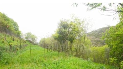 Casa o xalet en venda a Avenida José María Fancillas, Olvena, Huesca - imatge 3 Foto 3 de Casa o xalet en venda a Avenida José María Fancillas, Olvena, Huesca