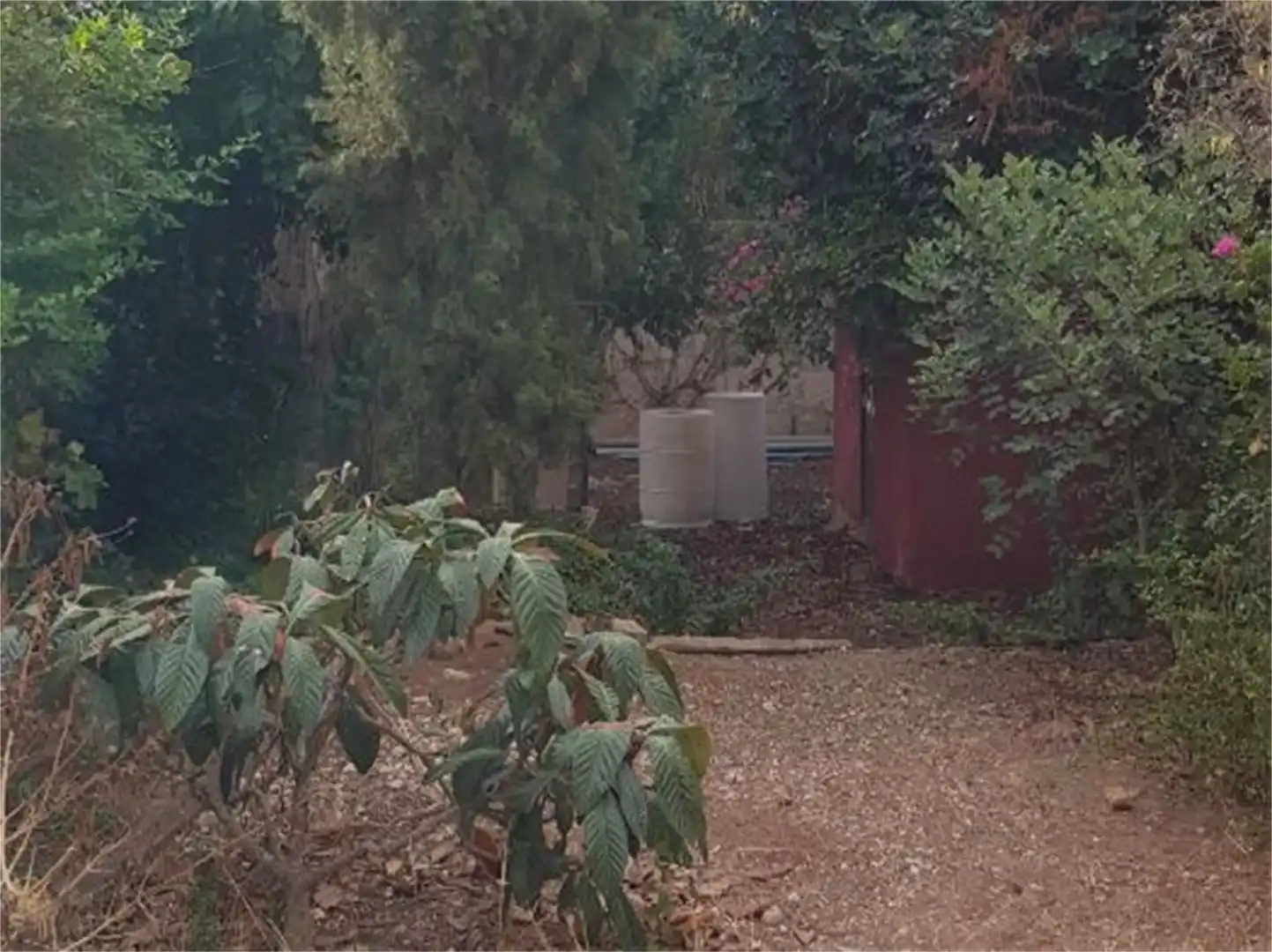 Casa o xalet en venda en  Palma de Mallorca amb Terrassa